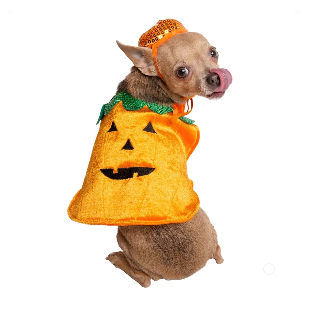 NWT Pet Pumpkin DIY Costume, Size L